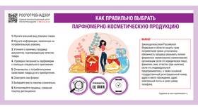 Что нужно делать ИП: основные обязанности в Экко