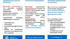 Что такое взыскание налоговой задолженности в Экко