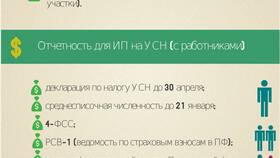 ИП на НДС: какие отчеты сдавать в Экко