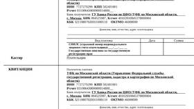 Как оплатить госпошлину: необходимые действия в Экко