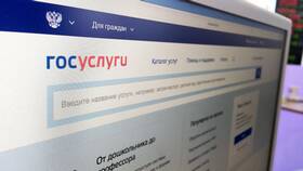 Как позвонить на горячую линию Госуслуг в Экко