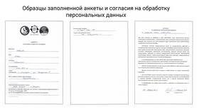Как правильно подать заявление на сайте