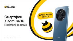 Как узнать свой тарифный план Билайн в Экко