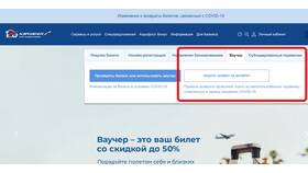 Как выглядит электронный билет Аэрофлота в Экко