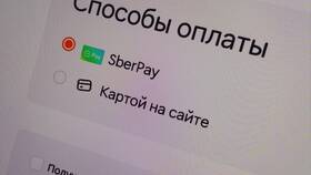 Почему доставка Додо временно недоступна в Экко