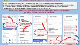 Пошаговая инструкция регистрации на Госуслугах в Экко