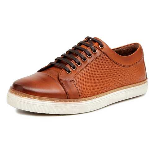 Кеды мужские Pierre Cardin 029065C0 коричневые 43 RU в Экко