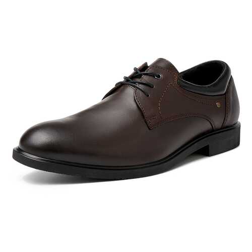 Туфли мужские Alessio Nesca M6208025 коричневые 40 RU в Экко