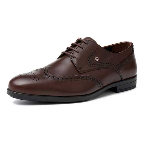 Туфли мужские Pierre Cardin 03407020 коричневые 40 RU в Экко