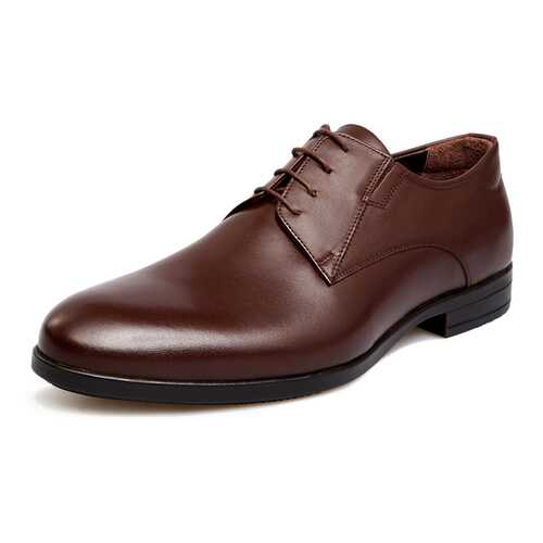Туфли мужские Pierre Cardin 710018071 коричневые 43 RU в Экко