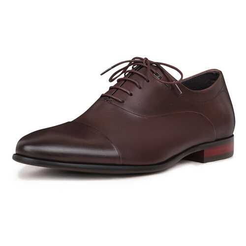 Туфли мужские Pierre Cardin DC20S-1 коричневые 40 RU в Экко
