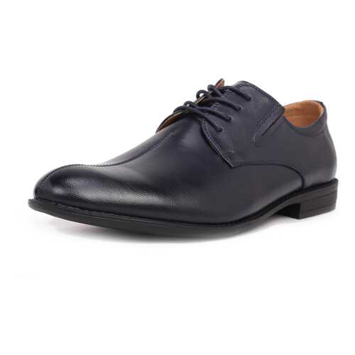 Туфли мужские T.Taccardi 710017996 синие 43 RU в Экко