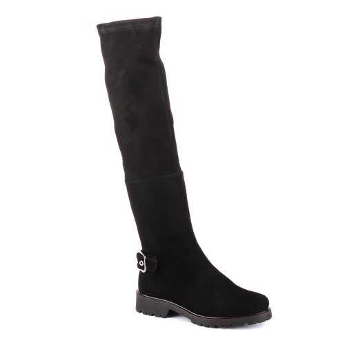 Сапоги женские Eliza di Venezia E9150 черные 39 RU в Экко