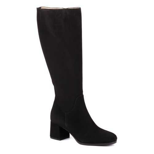 Сапоги женские Eliza di Venezia E9264 черные 40.5 RU в Экко